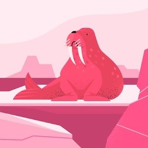 Meet your Posher, Vera